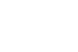 Meletis Logo